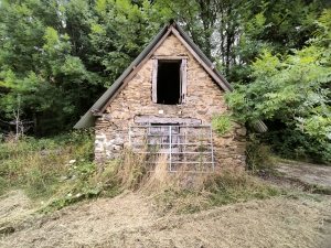 Country Farmhouse to Renovate with Outbuildings