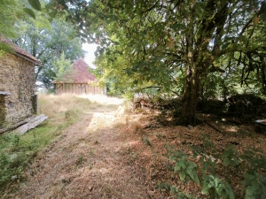 Country Farmhouse to Renovate with Outbuildings