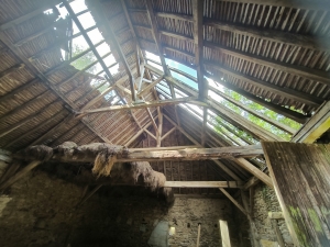 Country Farmhouse to Renovate with Outbuildings