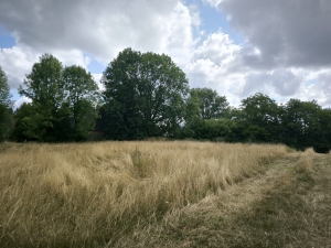 Country Farmhouse to Renovate with Outbuildings