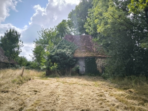Country Farmhouse to Renovate with Outbuildings