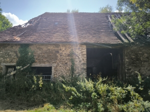 Country Farmhouse to Renovate with Outbuildings