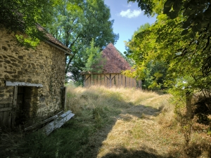 Country Farmhouse to Renovate with Outbuildings