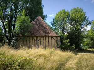 Country Farmhouse to Renovate with Outbuildings