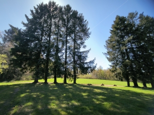 Stone Houses, Outbuildings, Pond in the Countryside