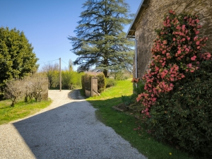 Stone Houses, Outbuildings, Pond in the Countryside