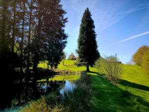 Stone Houses, Outbuildings, Pond in the Countryside