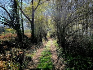 Stone Houses, Outbuildings, Pond in the Countryside
