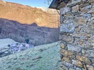 Two Barns to Convert in Glorious Location in Midi Pyrenees