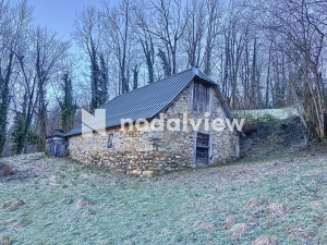 Two Barns to Convert in Glorious Location in Midi Pyrenees
