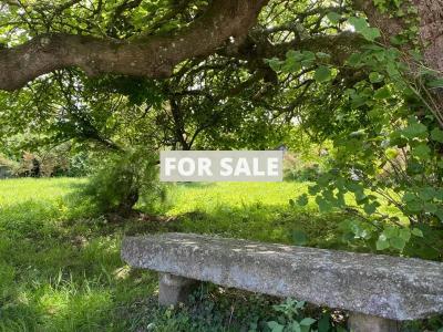 Detached House with Garden by the Coast