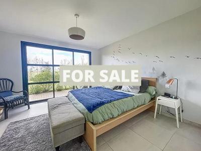 Uber Contemporary Detached House