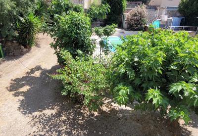 Former Winegrower's Property With Independent Gite and Pool