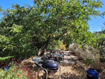 Charming Winegrower's House With Garden