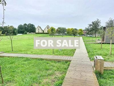 Ten Contemporary Detached Houses For Sale Together