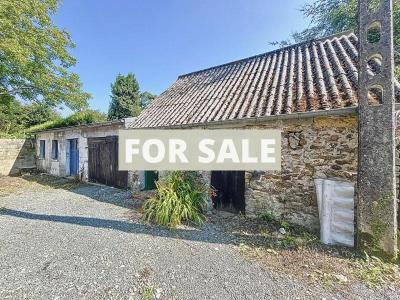 Two Houses in a Quiet Countryside Setting