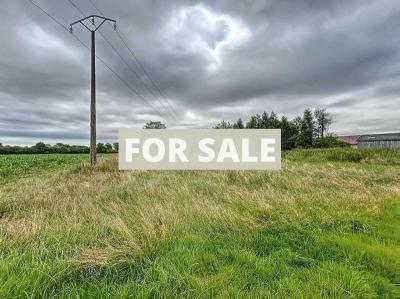 Property For Sale