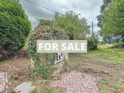 Property For Sale