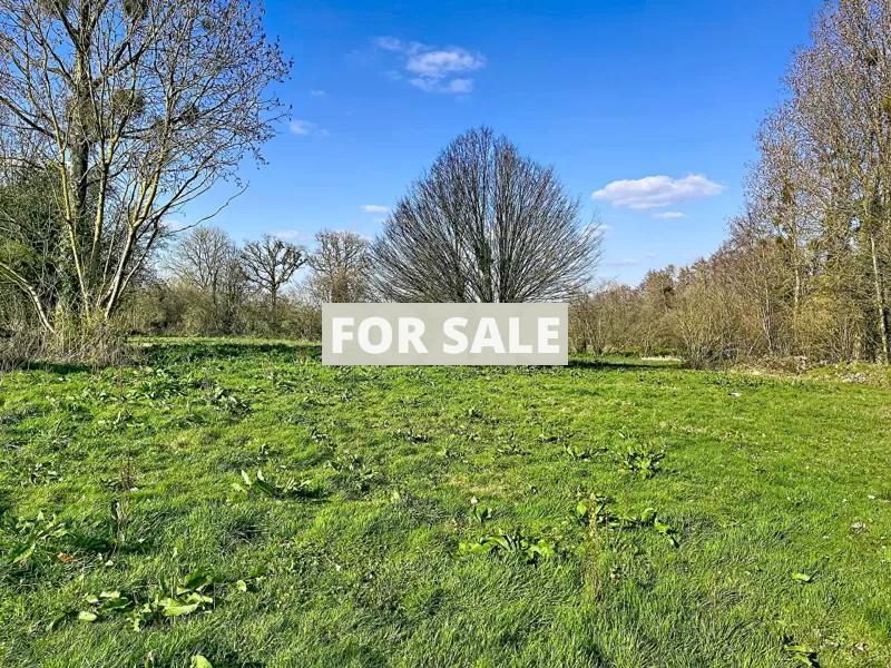 Detached Country House with Large Garden