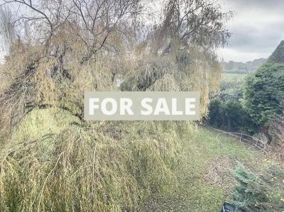 Property For Sale
