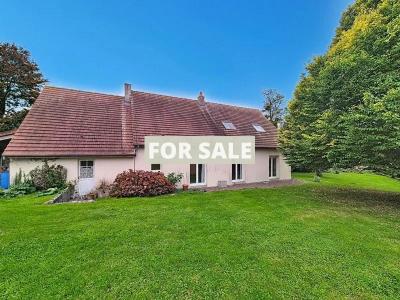 Detached House with Garden