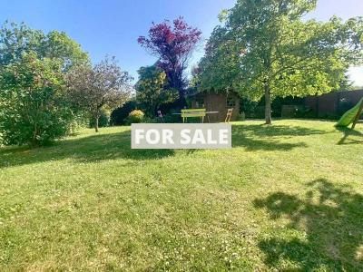 Property For Sale