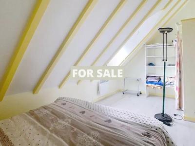 Lovely Cottage by the Coast