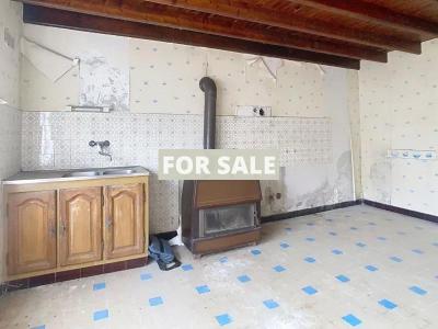 Coastal House to Renovate with Garden