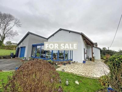 Property For Sale