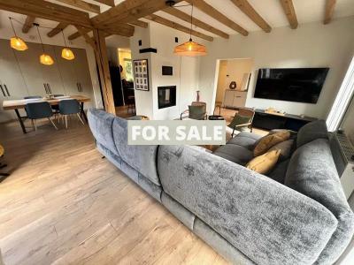 Fully Renovated Detached House