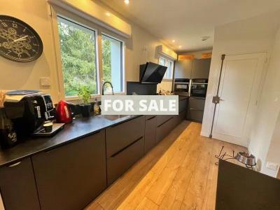 Fully Renovated Detached House