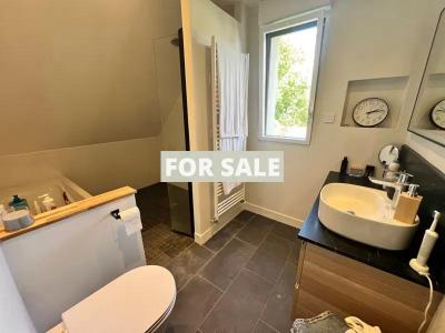 Fully Renovated Detached House