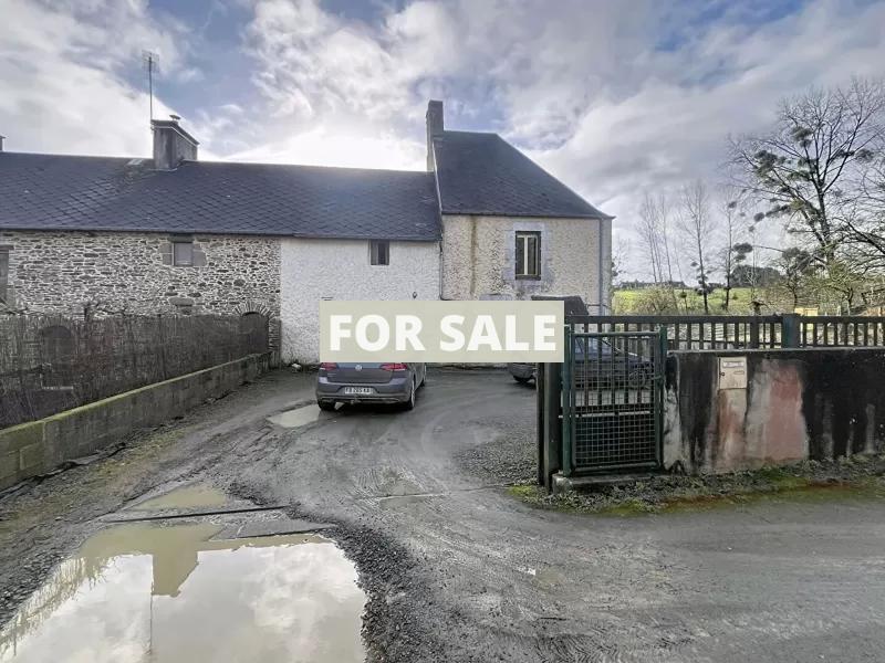 Traditional House with Garden, Superb Project