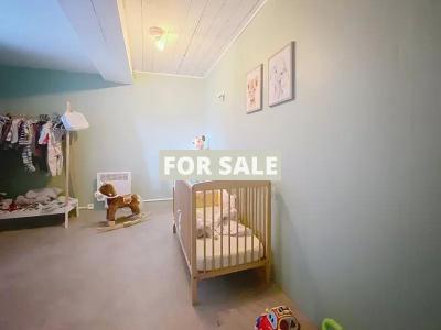 Traditional House with Garden, Superb Project