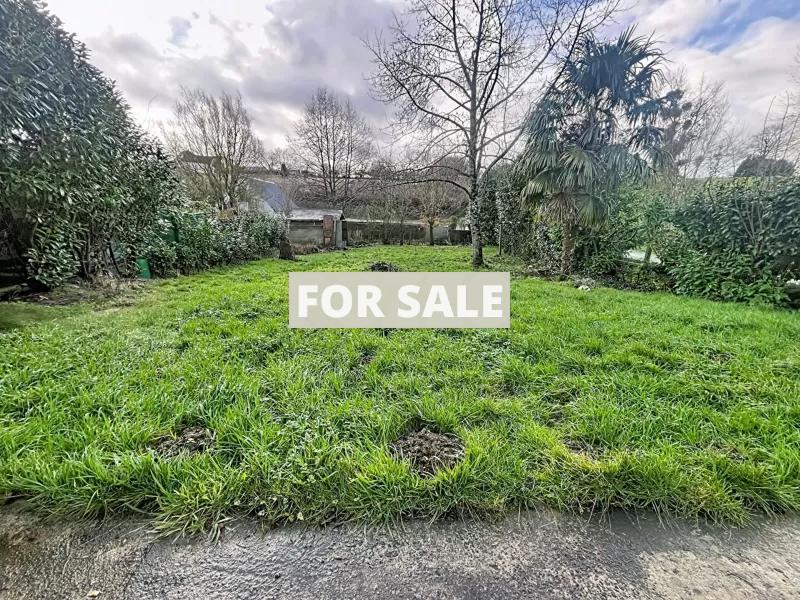 Traditional House with Garden, Superb Project