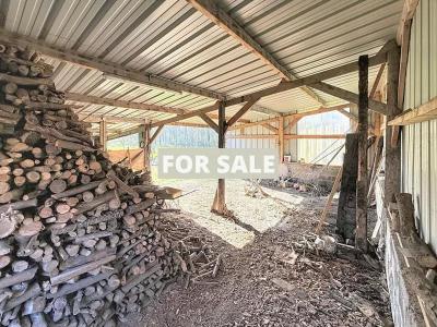 Detached Country House with Open Views