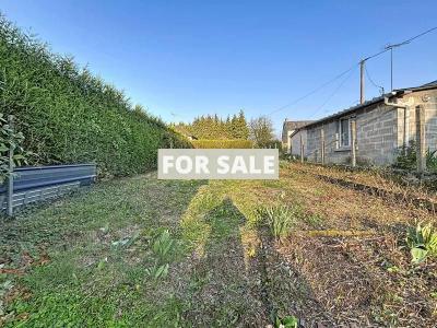 Town House in Good Order with Garden