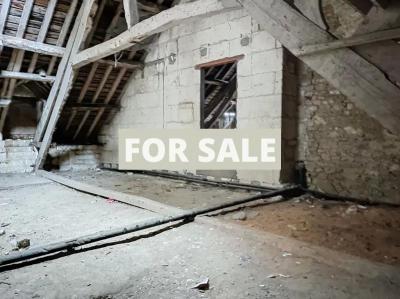 Huge Country House to Renovate