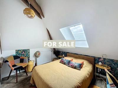 Lovely Detached House with Garden