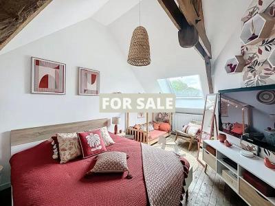 Lovely Detached House with Garden
