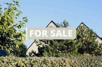 Modern Detached House with Garden