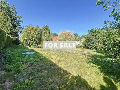 Property For Sale