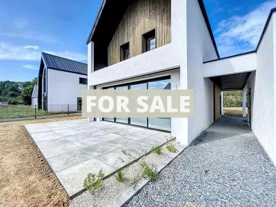 Contemporary Detached House