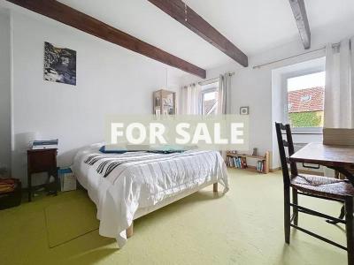 Traditional House with Character Accommodation