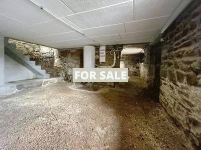 Detached House with Garden