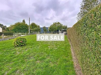 Detached House with Garden