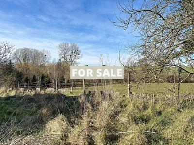 Detached Country House with Open Views