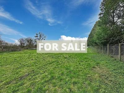 Village House with Large Garden