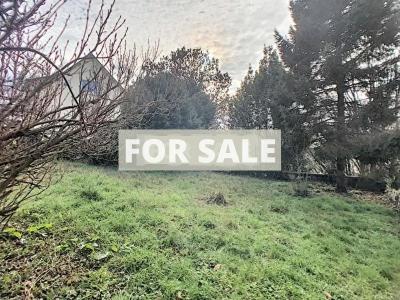 Detached House with Second House and Garden