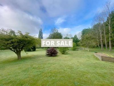 Property For Sale